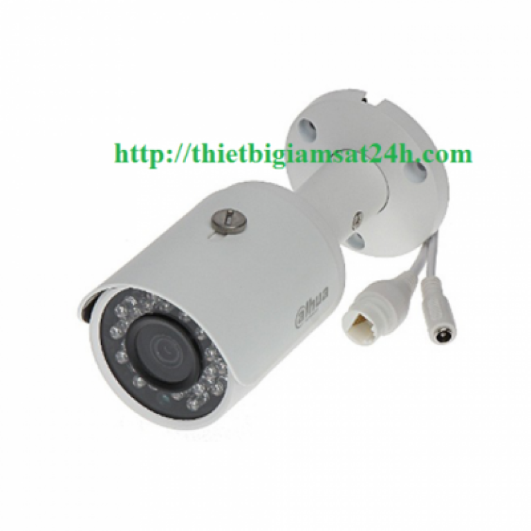 Camera IP 2.0MP DAHUA DS2230FIP